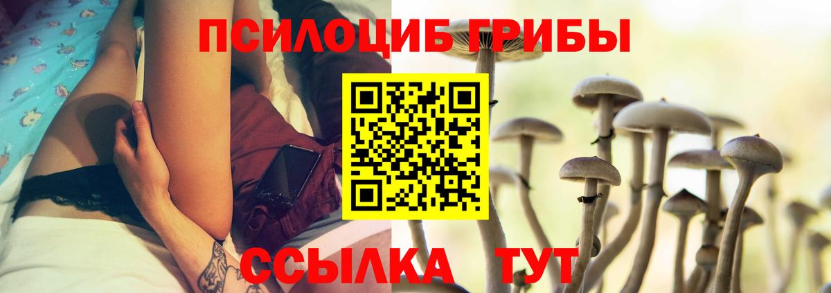 Галлюциногенные грибы Magic Shrooms  Галлюциногенные грибы мицелий  Ступино  Вход с VPN 